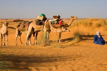 Mauritania travel and tours Trans- Sahara